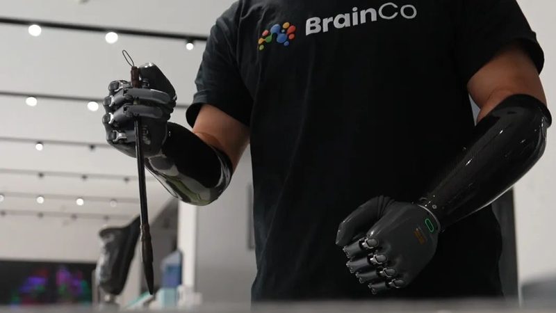 上海人工智能应用创新服务：现状与未来展望